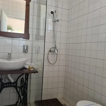 Salas Isailovi Sremska Mitrovica