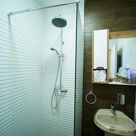 Salas Isailovi スレムスカ・ミトロヴィツァ