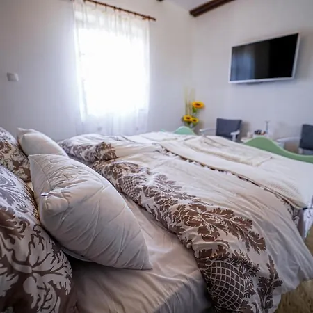 Salas Isailovi Casa di campagna Sremska Mitrovica