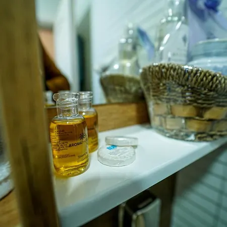 Salas Isailovi カントリーハウス