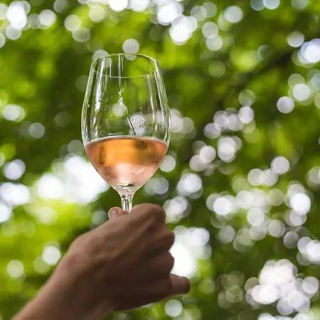 カントリーハウス Salas Isailovi *