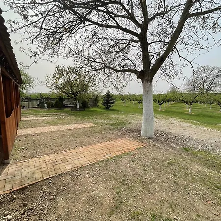 Casa di campagna Salas Isailovi
