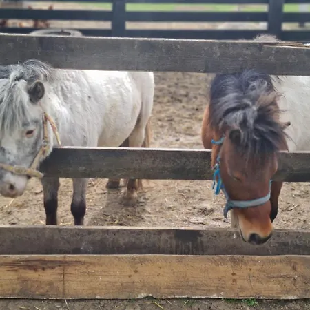 Landhaus Salas Isailovi *