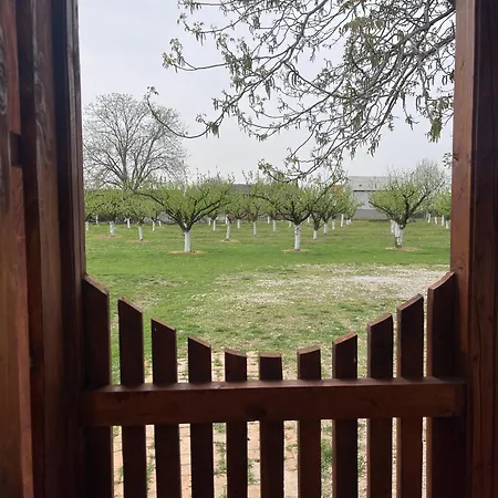 カントリーハウス Salas Isailovi スレムスカ・ミトロヴィツァ