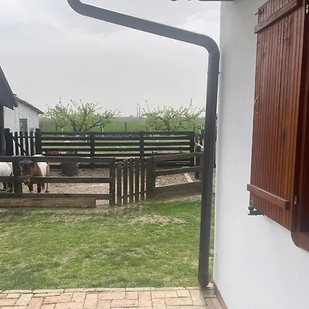 Salas Isailovi Landhaus Sremska Mitrovica